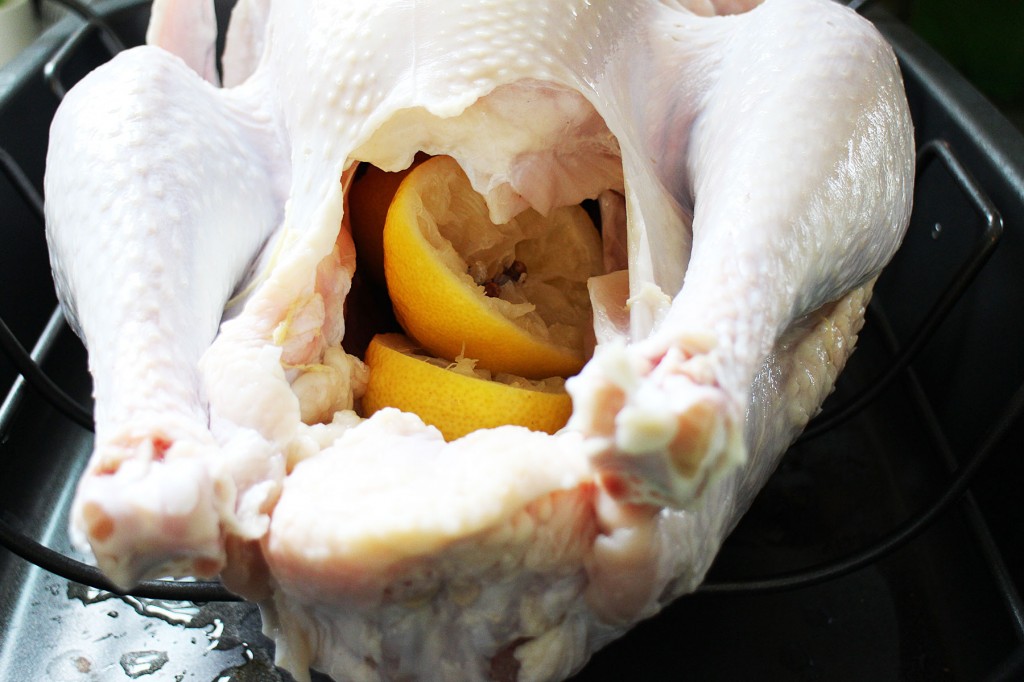 BayLemonTurkey2