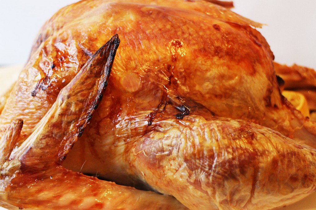 BayLemonTurkey3