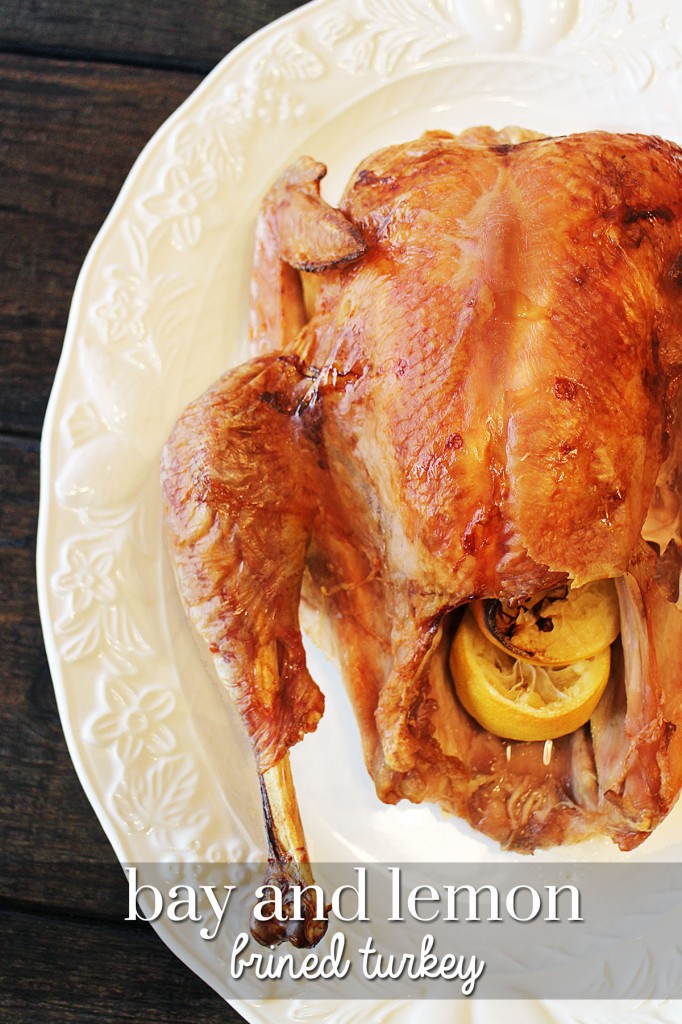 BayLemonTurkeyPin