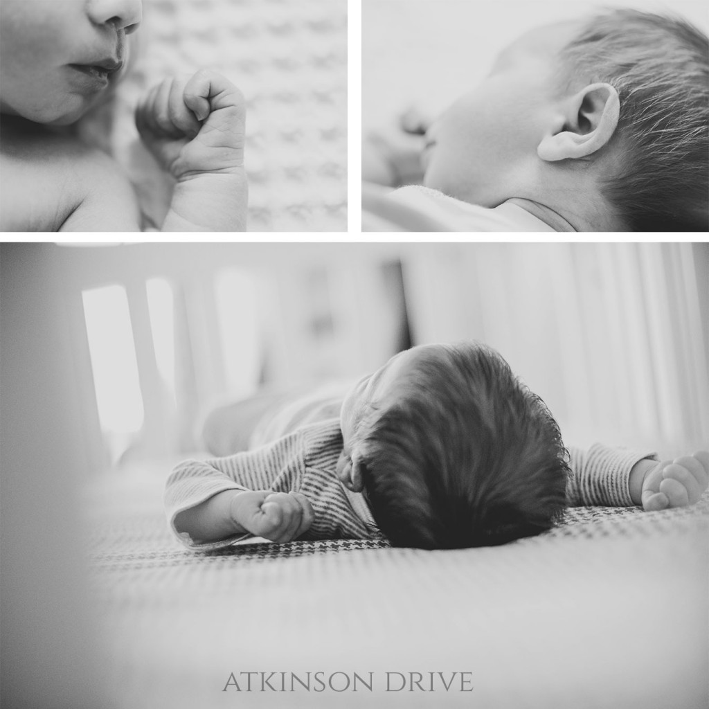 Newborn Photos | Atkinson Drive