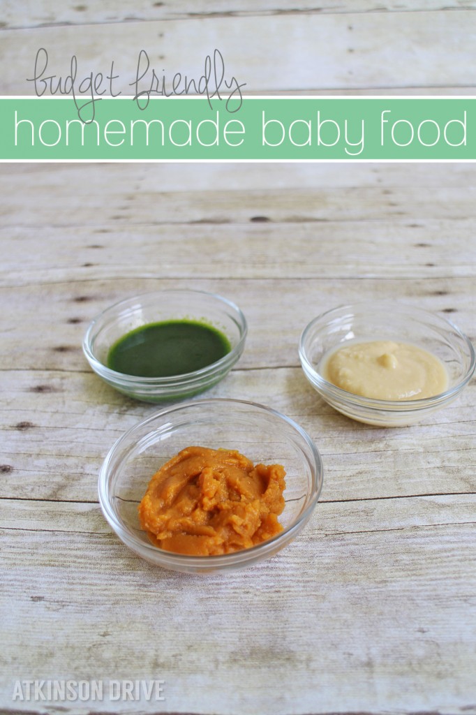 Anyone can make their own baby food purees with these simple and affordable tips! /// by Atkinson Drive