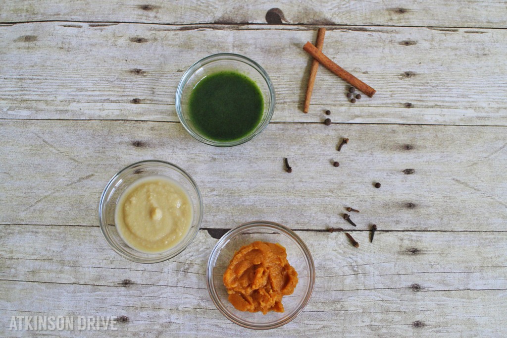 Anyone can make their own baby food purees with these simple and affordable tips! /// by Atkinson Drive