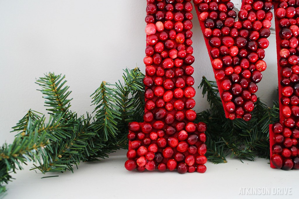 This beautiful DIY Cranberry Monogram is perfect for leaning on the mantel, hanging as a wreath, or displaying on your favorite credenza. /// by Atkinson Drive