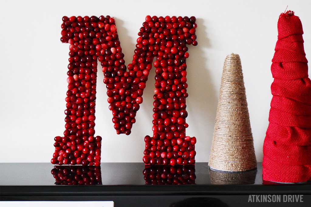 This beautiful DIY Cranberry Monogram is perfect for leaning on the mantel, hanging as a wreath, or displaying on your favorite credenza. /// by Atkinson Drive